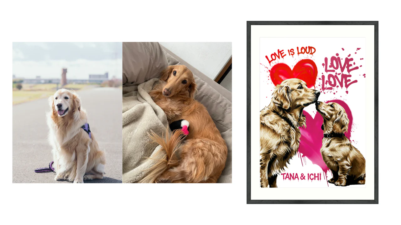 水谷瞬選手の投稿