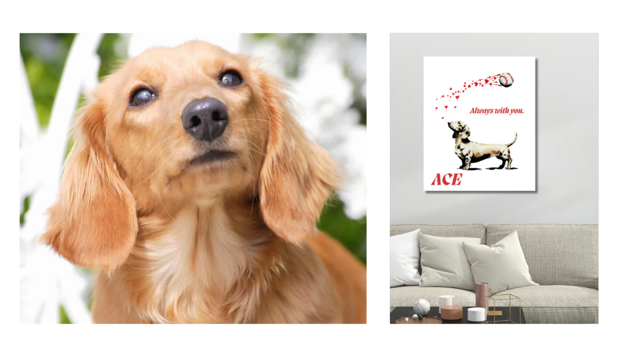 水谷瞬選手の投稿