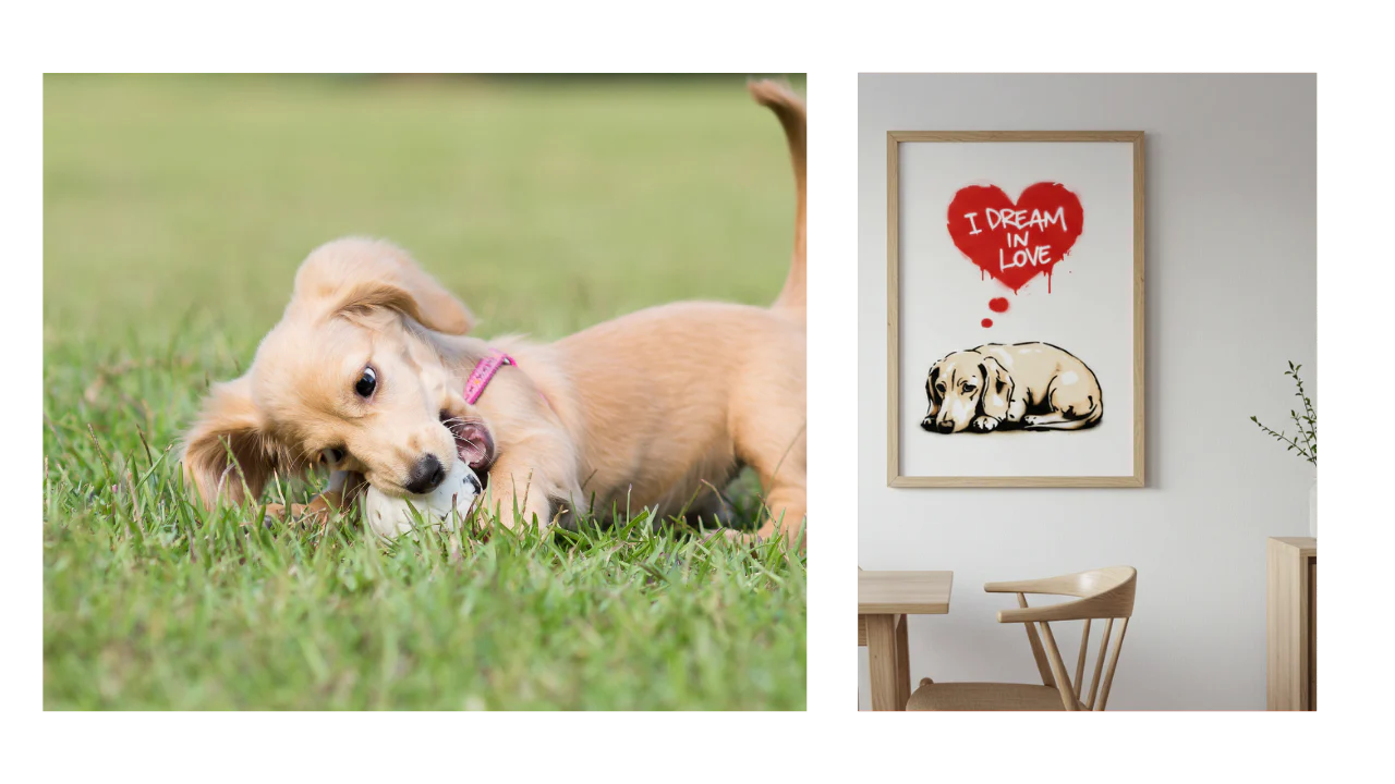 水谷瞬選手の投稿