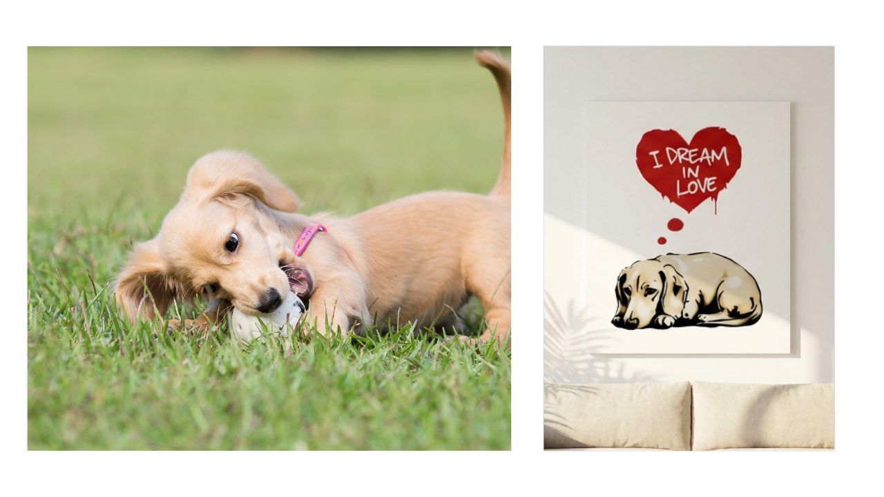 水谷瞬選手の投稿