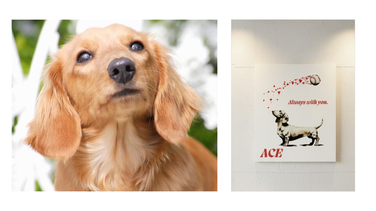 水谷瞬選手の投稿