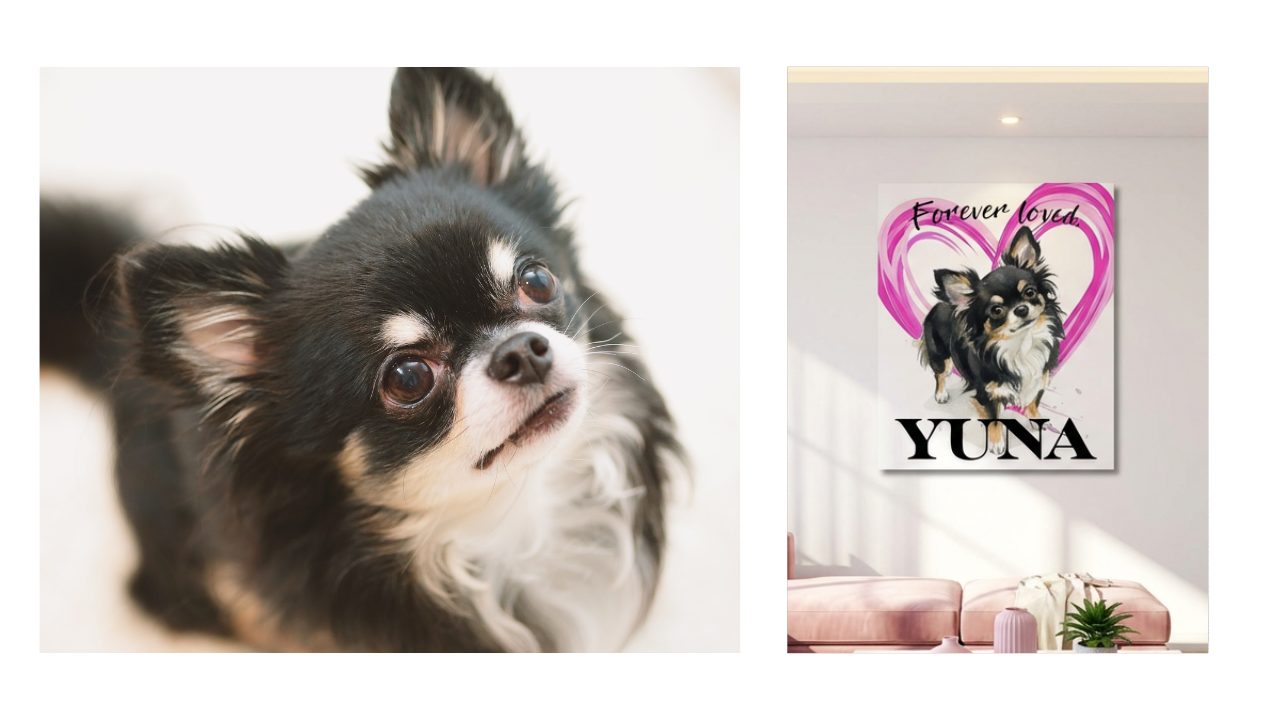 水谷瞬選手の投稿